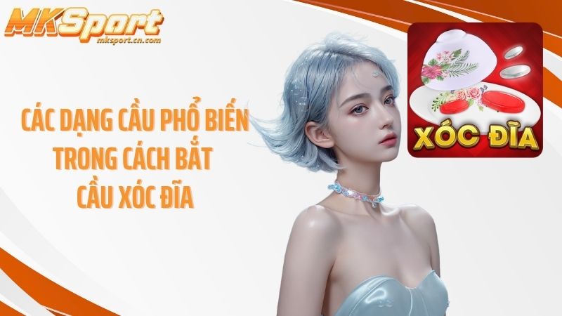 Các dạng cầu phổ biến trong cách bắt cầu xóc đĩa