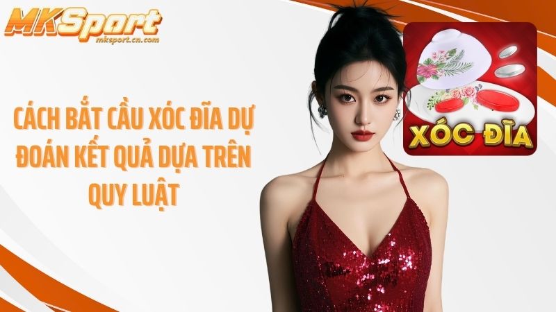 Cách bắt cầu xóc đĩa dự đoán kết quả dựa trên quy luật