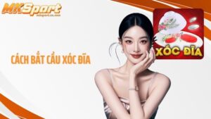 Cách bắt cầu xóc đĩa