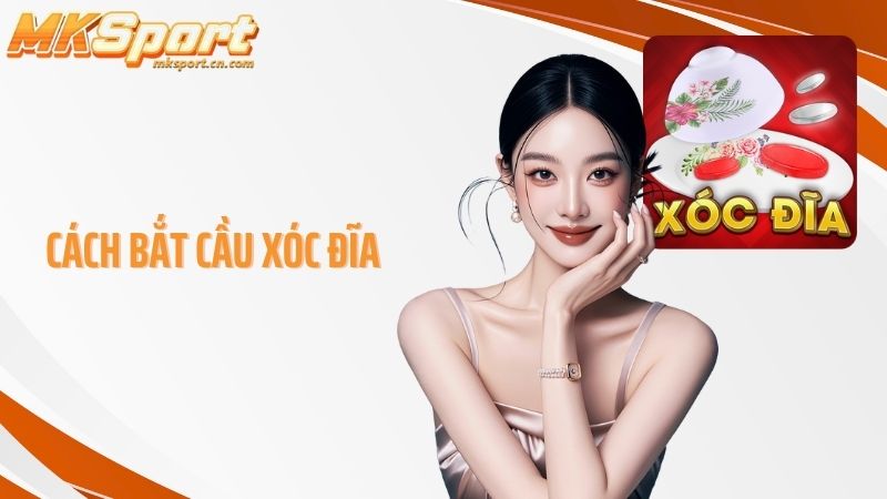 Cách bắt cầu xóc đĩa